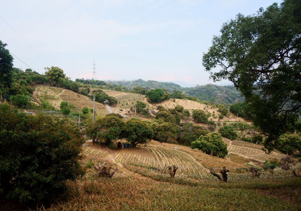 阿罩霧山封面圖