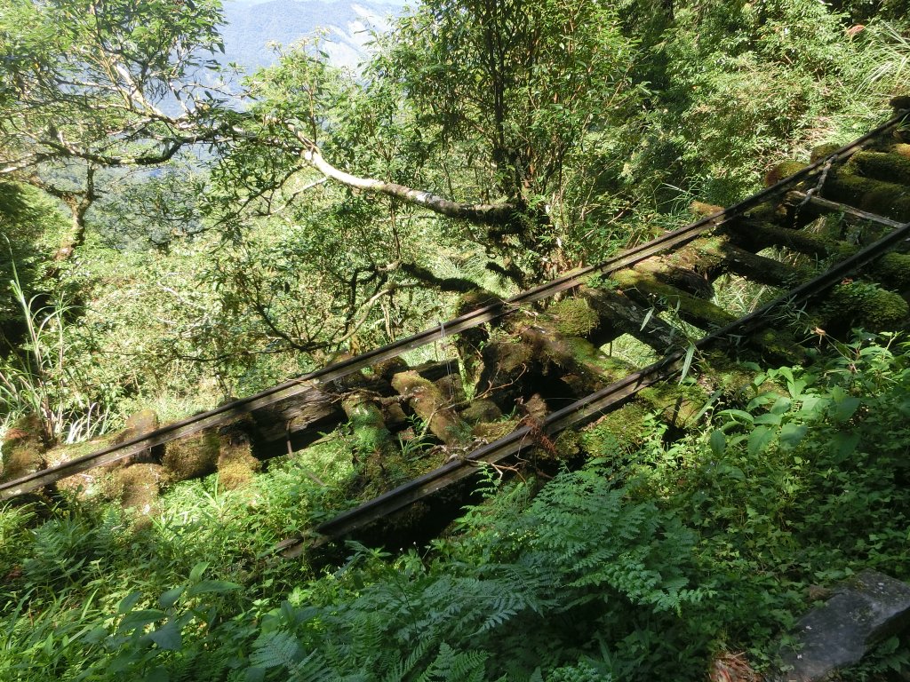 見晴懷古步道封面圖