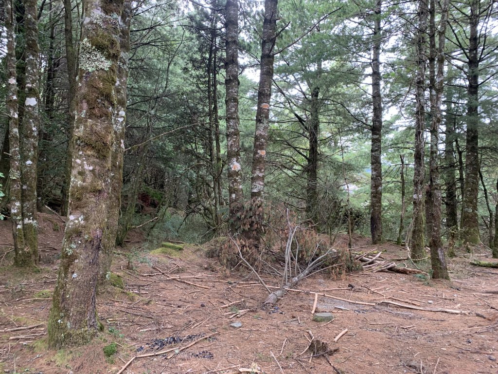 20231106高雄塔關山_2353947