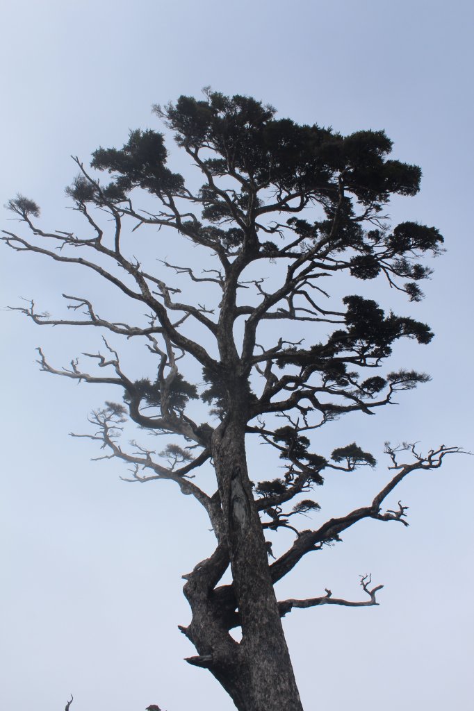 20211212屏東北大武山_1588273