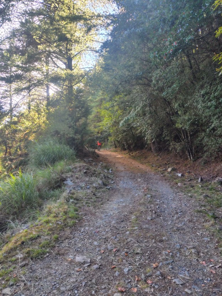 大雪山森林遊樂區 遊客中心 小神木 北三錐山 平石山西北峰_2952942