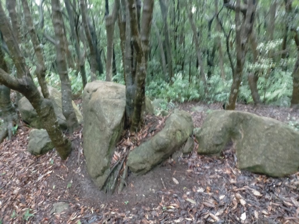 壹北大縱走第四段：風櫃嘴至大湖公園_2809583