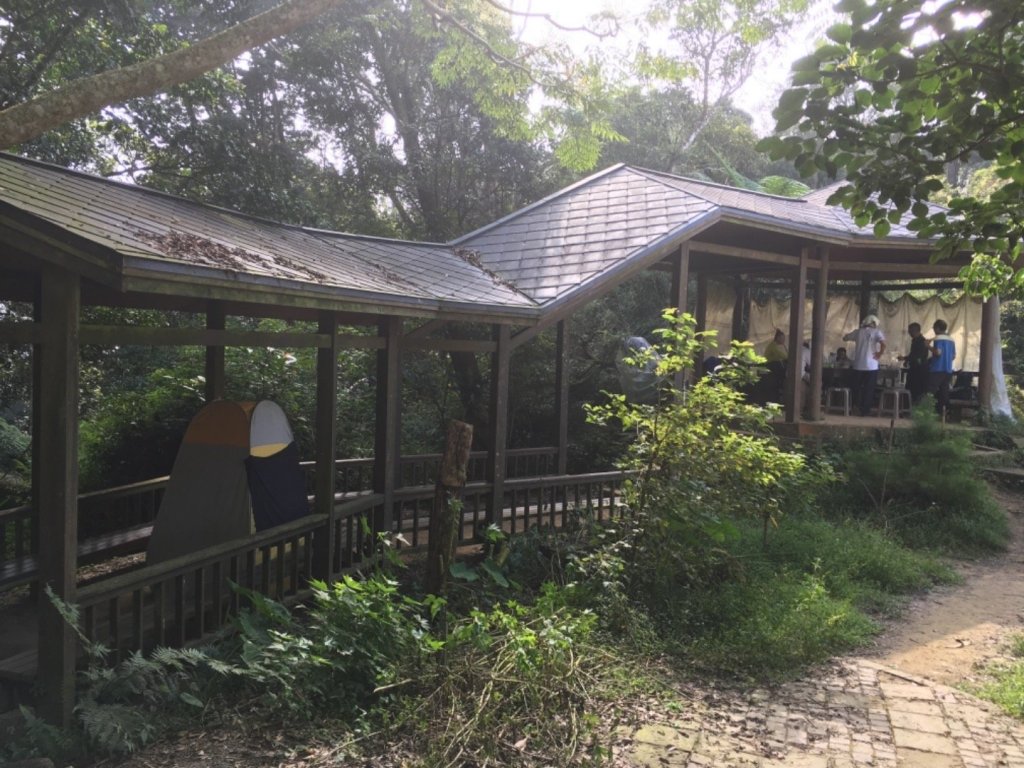 20181026-大凍山初登_444954