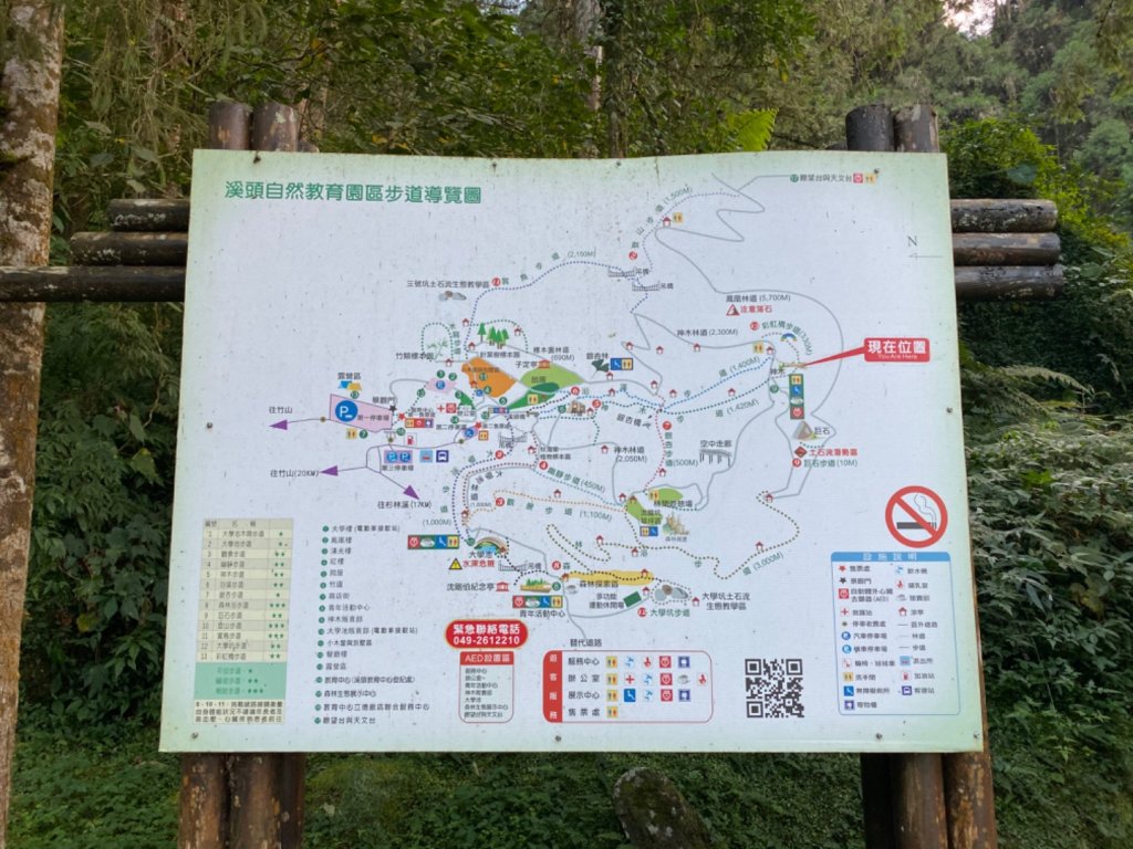 20191109貓仔們之溪頭森林步道探索_757156