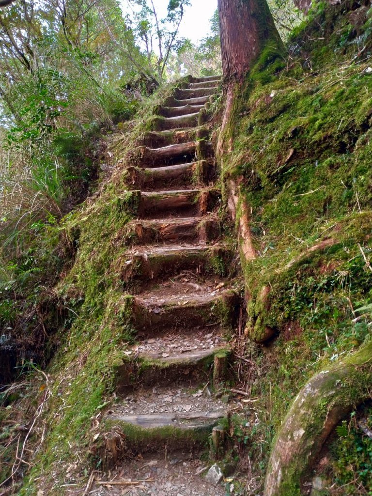 湖光山色－翠峰湖環山步道_708033