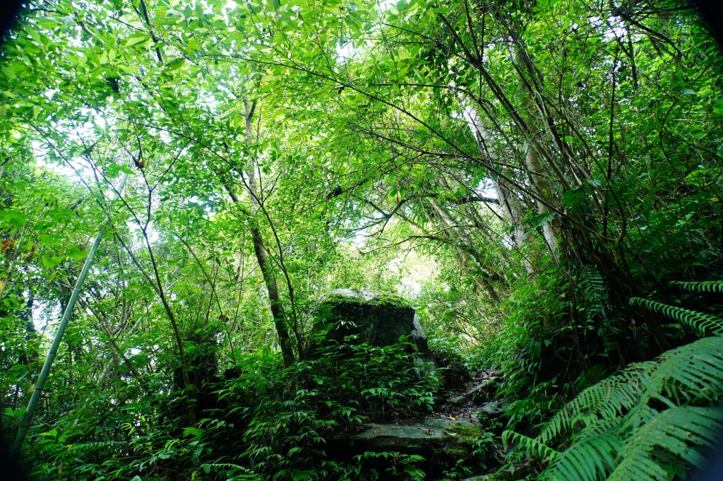 新北 烏來 波露南山_3035990