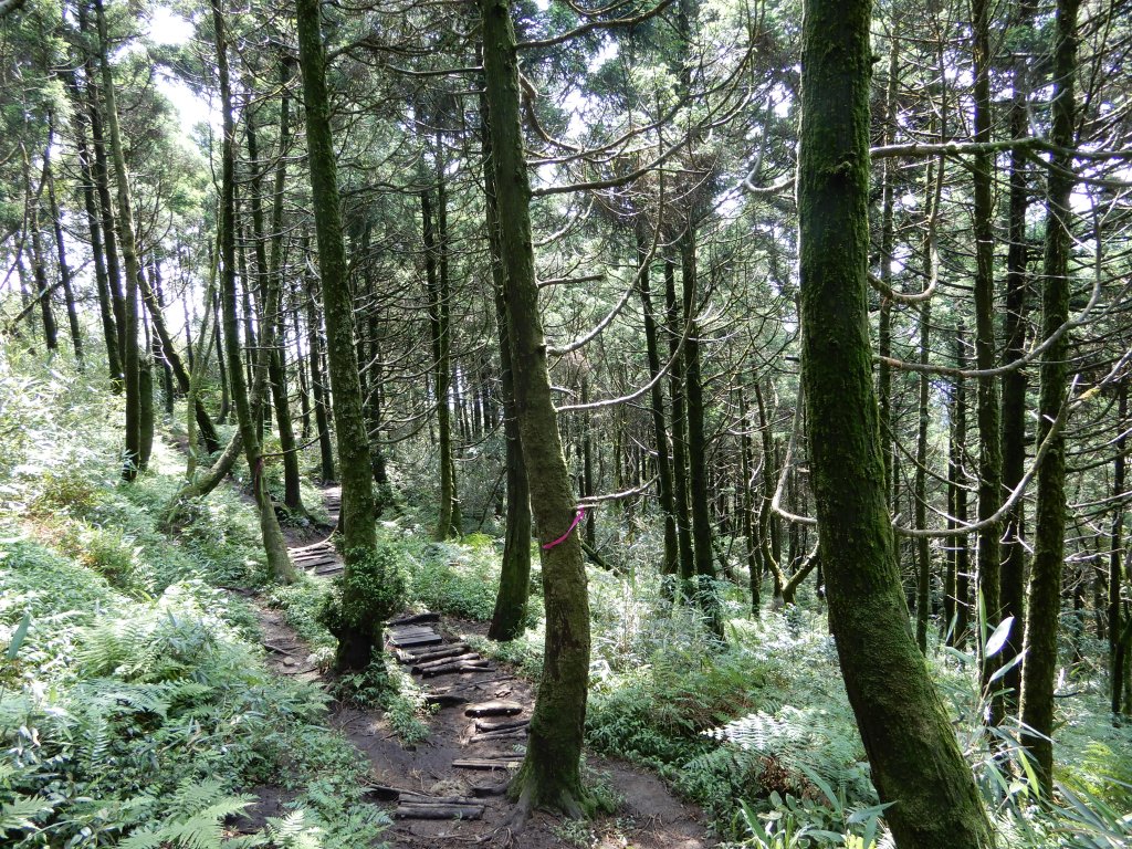  20190525_小觀音山群峰_593539