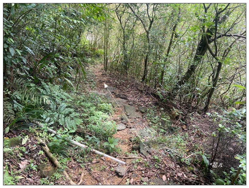 瑞芳四秀 連走一圈_2616313