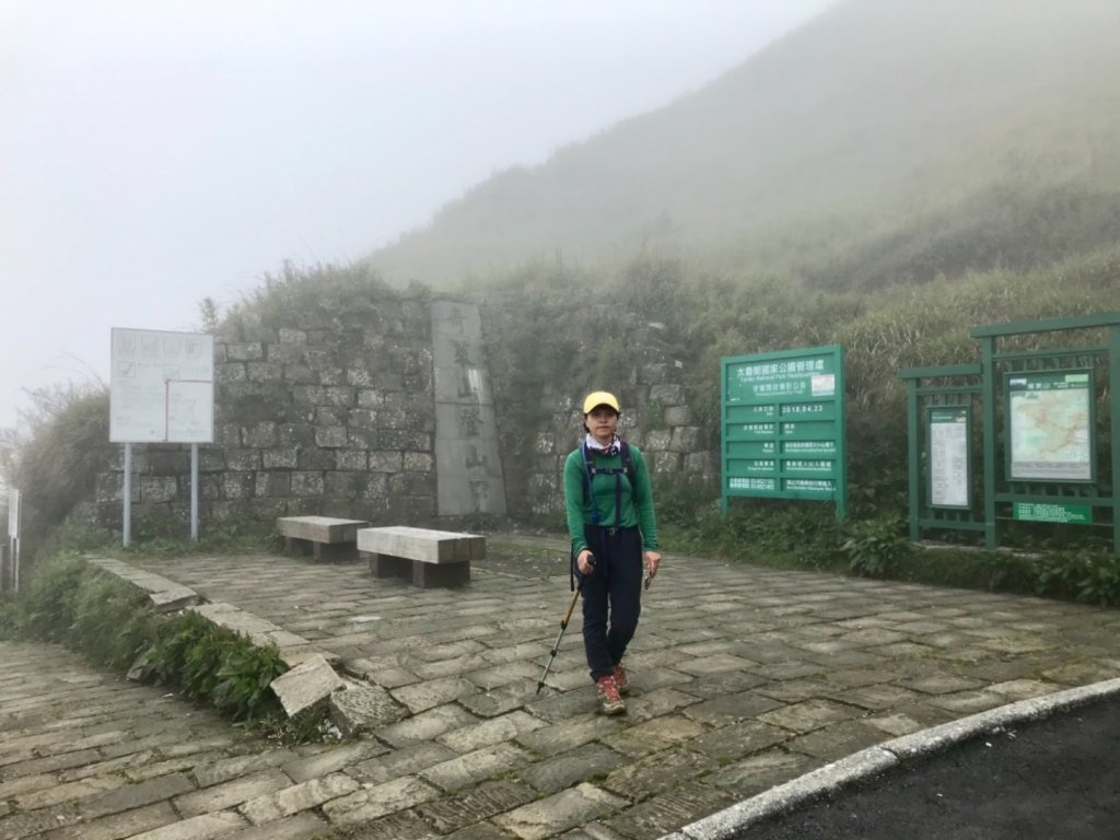 20190525奇萊主峰單攻杜鵑之美_593870