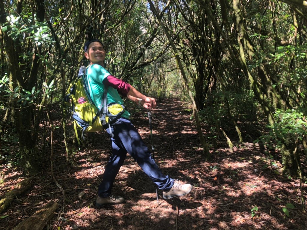 李崠山.泰平山.馬望僧侶山O型步道【防疫_878726