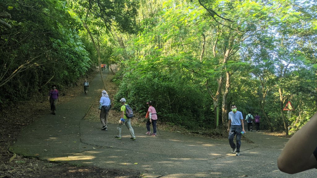 大崗山步道_1452706