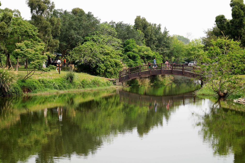 石門生態之旅~三坑自然生態公園_302996