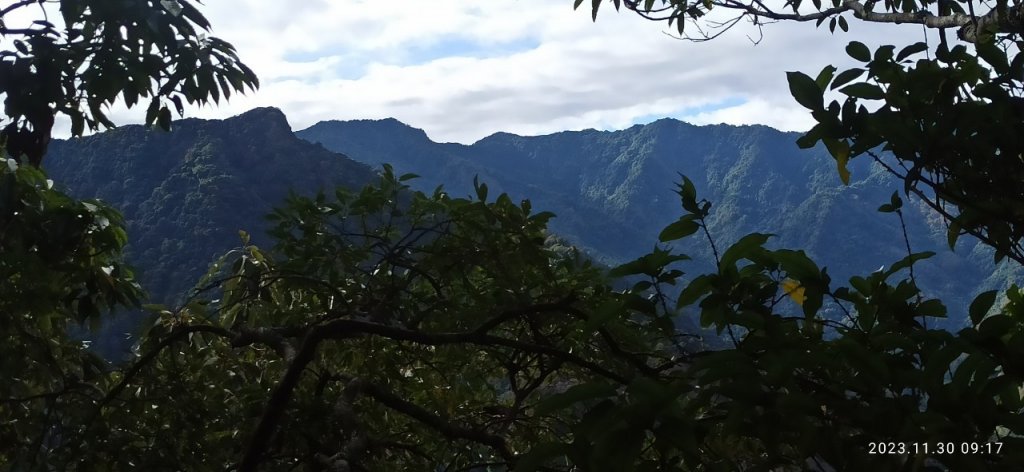 虎山西南峰、虎山（石壁探險、台灣櫸）_2364938