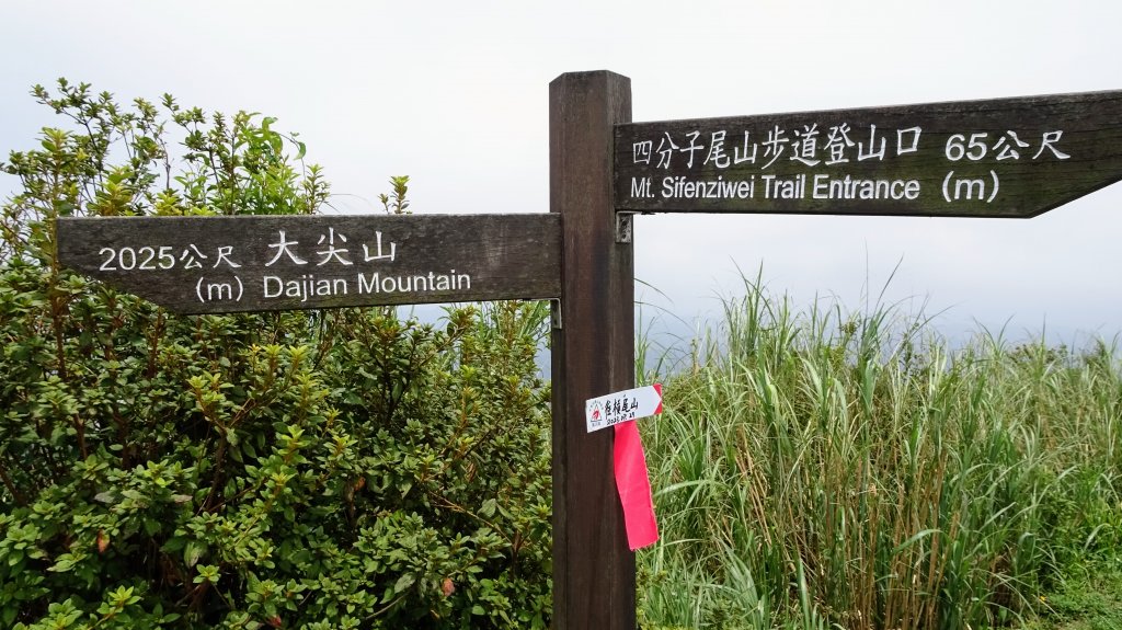 槓尾山,四分尾山,和尚頭山,大尖山_2244957