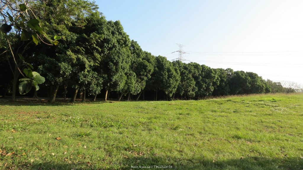 《台中》森林冬陽｜大肚山台中都會公園O繞20241229_2678754