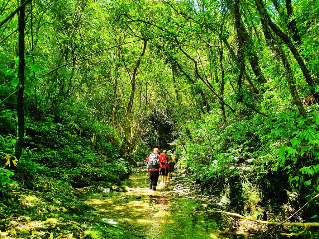 【淡蘭中路秘境】美得令人窒息的坪溪水路_1453304