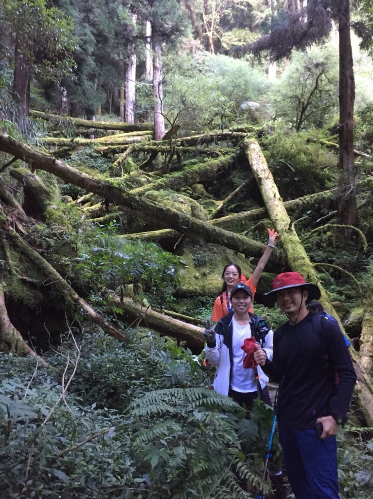 水樣森林 第一次在山裡過夜_659051