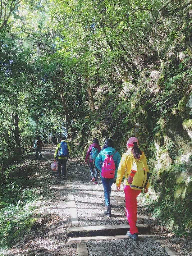 特富野悠閒散步之旅_222507