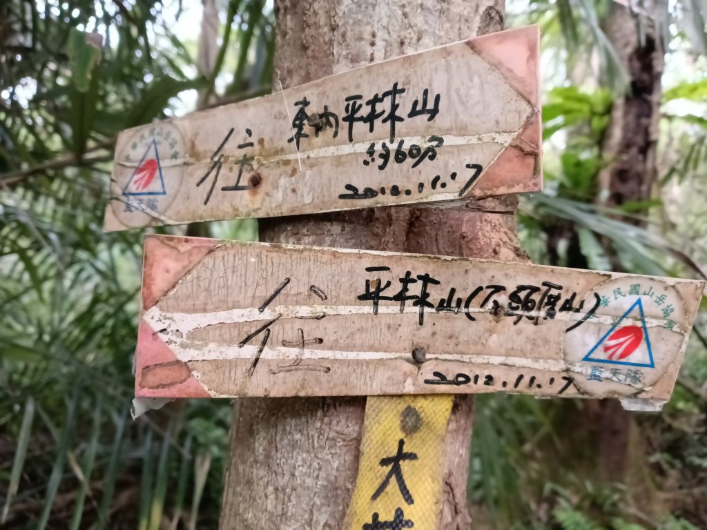 雙溪區東內平林山+上平林山+平林山去回_2952505