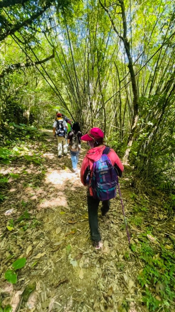 石笋古道_1484487