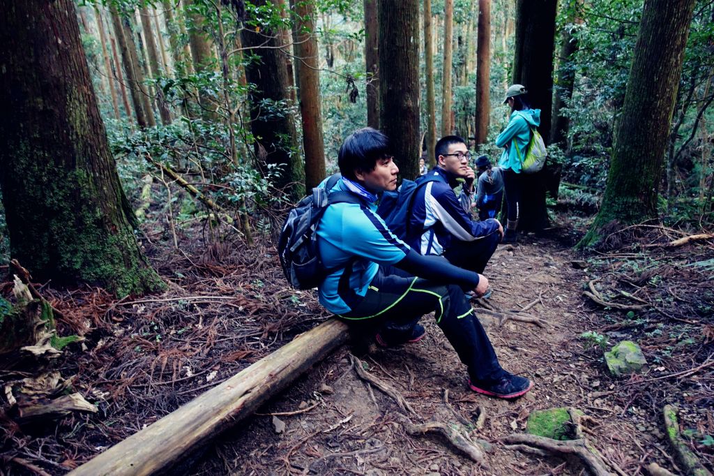 苗栗。加里山 大O型 2018.03.1_293836