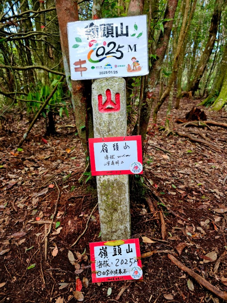 金柑樹山、忘憂森林步道-(南投)臺灣百大必訪步道_2789378