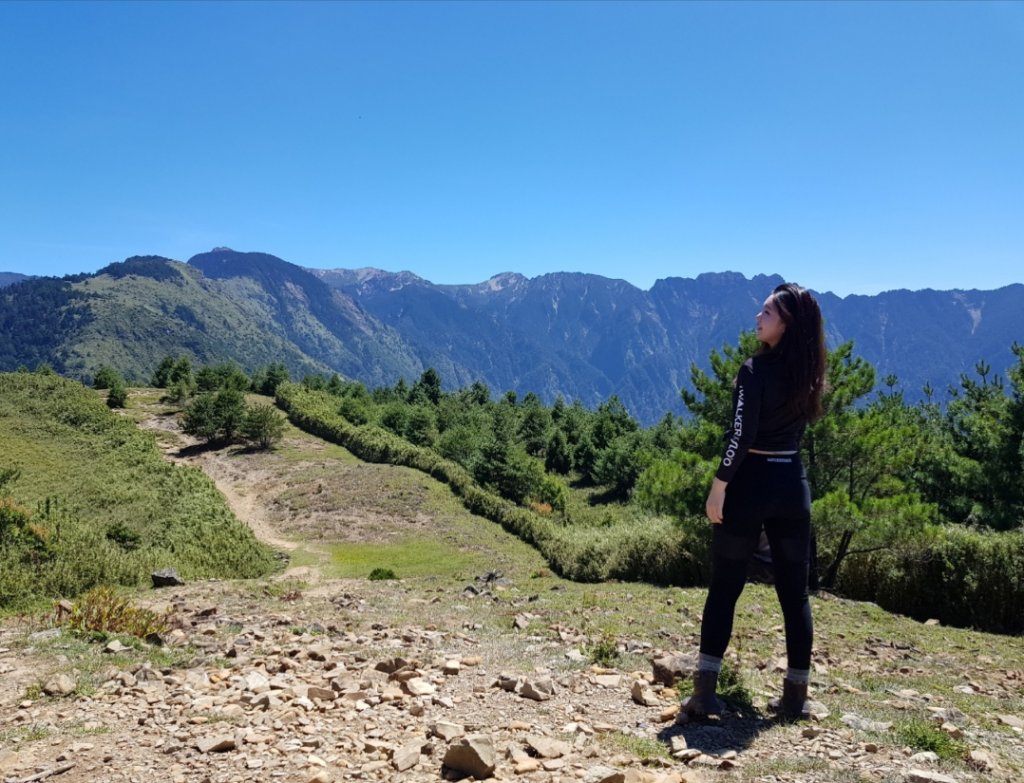 誘惑登山新手路線 塔塔加鹿林山麟趾山_689732