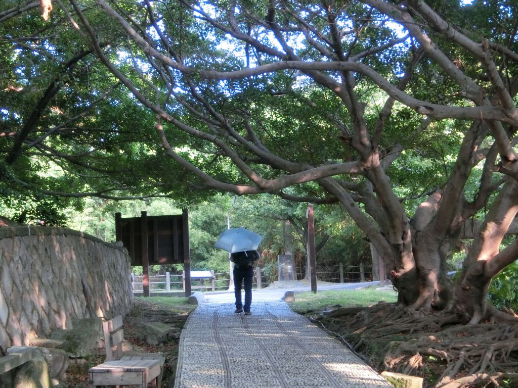 硫磺谷．龍鳳谷步道_176049