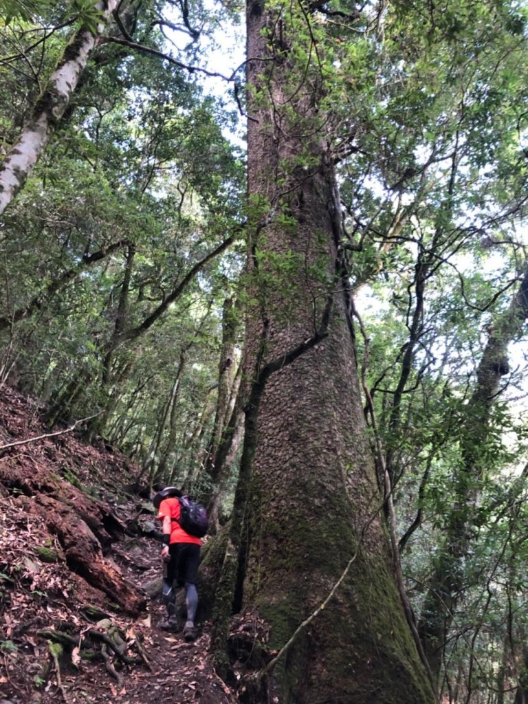 20190727屏風山單攻記事_637602