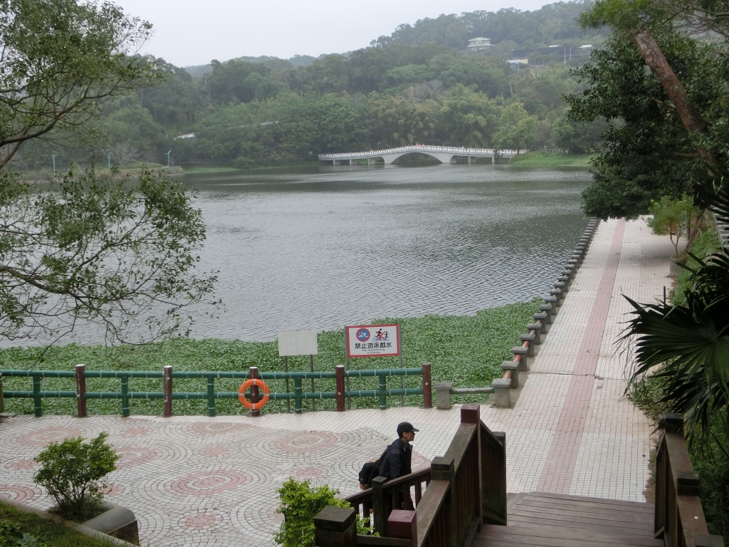 青草湖環湖步道_95723