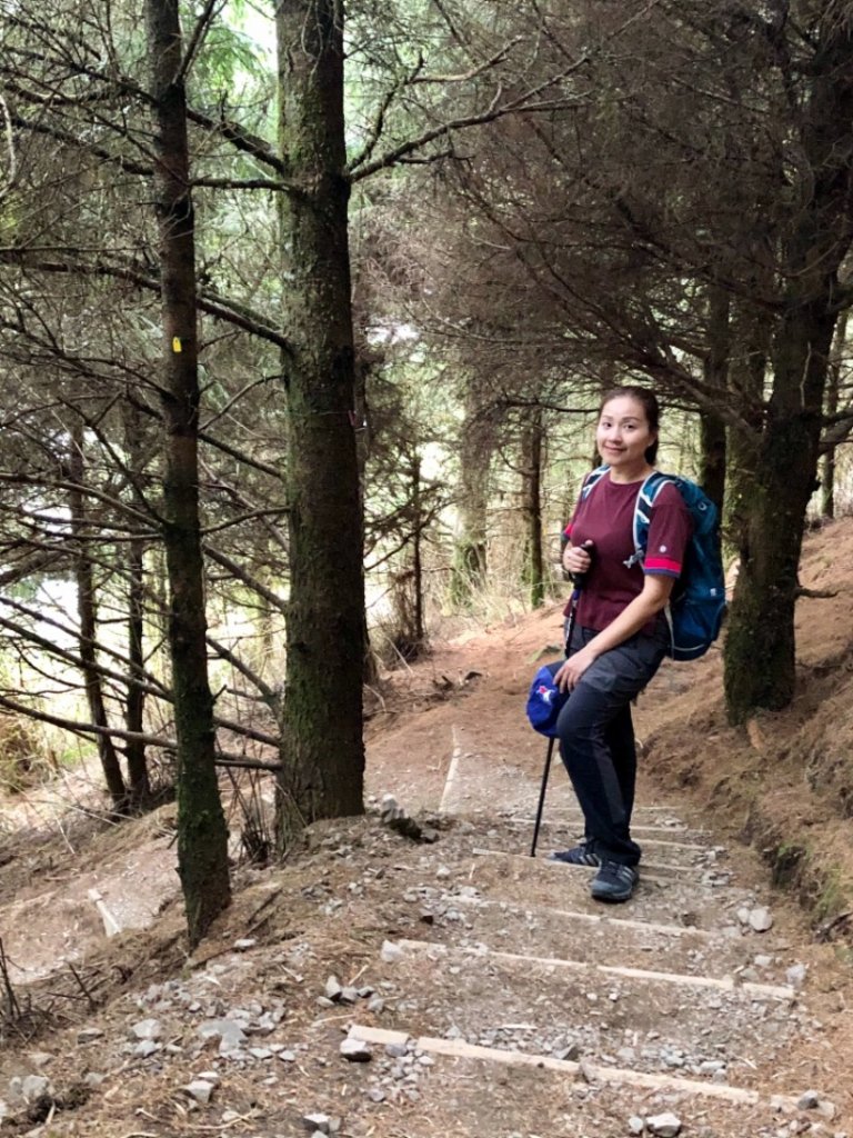 輕鬆享大景—鹿林山/麟趾山連走_1486651