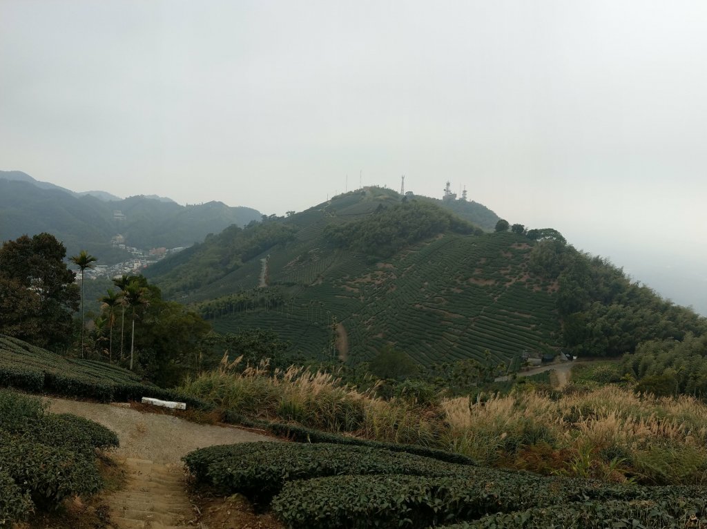 梨子腳山(小百岳#57) & 太平雲梯 (2021/1/29)_1423182