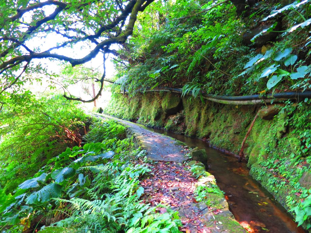 漫步大崎頭步道 一探台北市梯田美景_290913