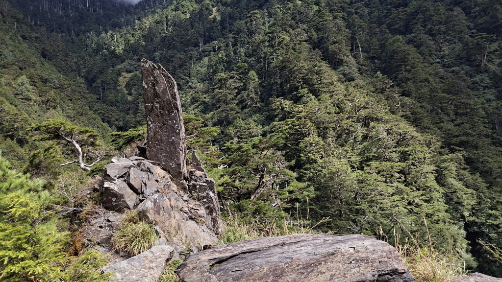 20251026合歡溪步道_2926494