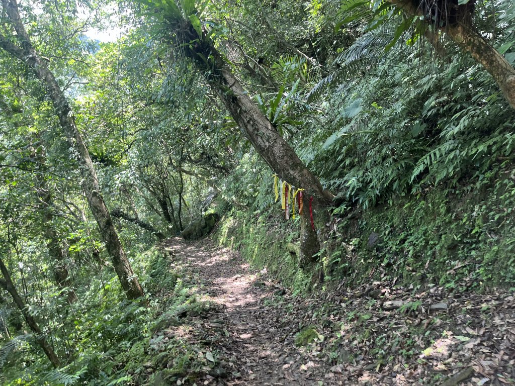 [淡蘭古道] 2024_0622 中路第五段-灣潭古道_2533971