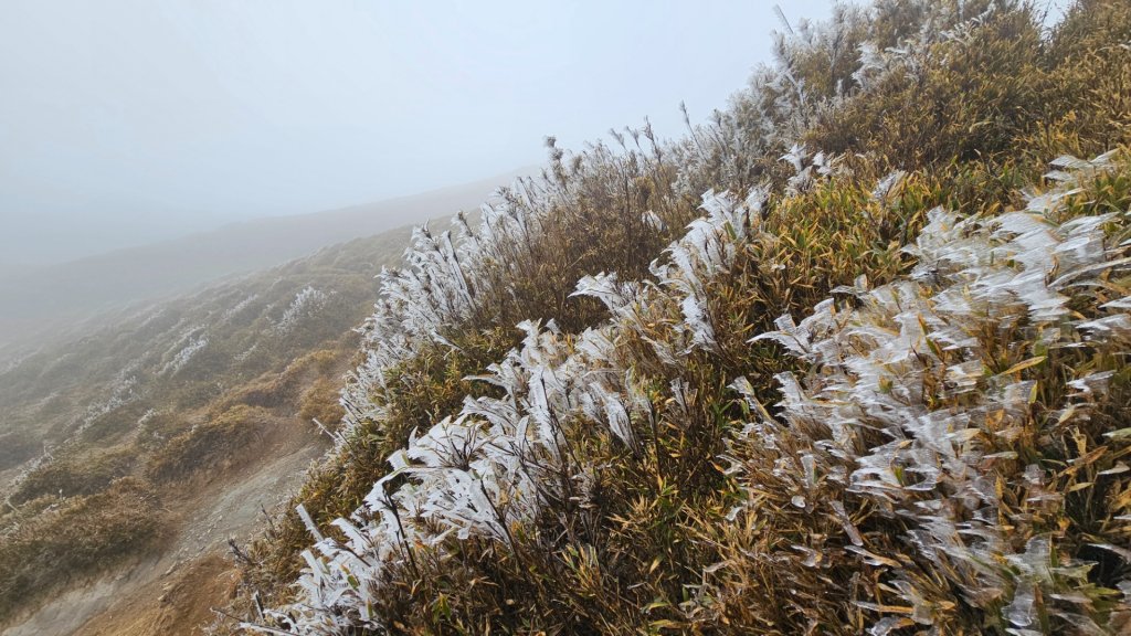 112.3.13～3.14 冰封奇萊主北_2074318