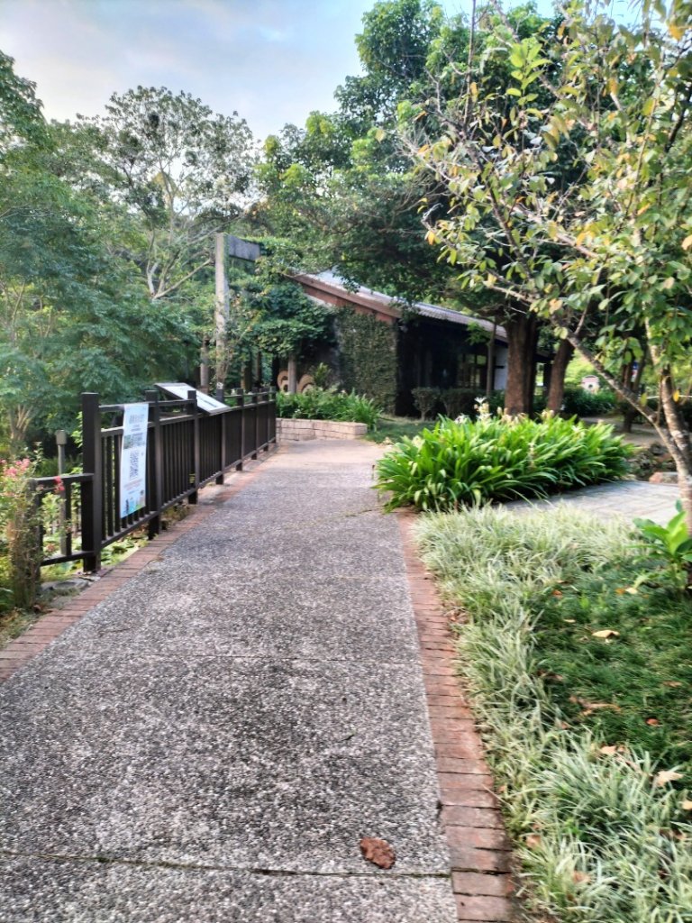 藤坪步道_2249035