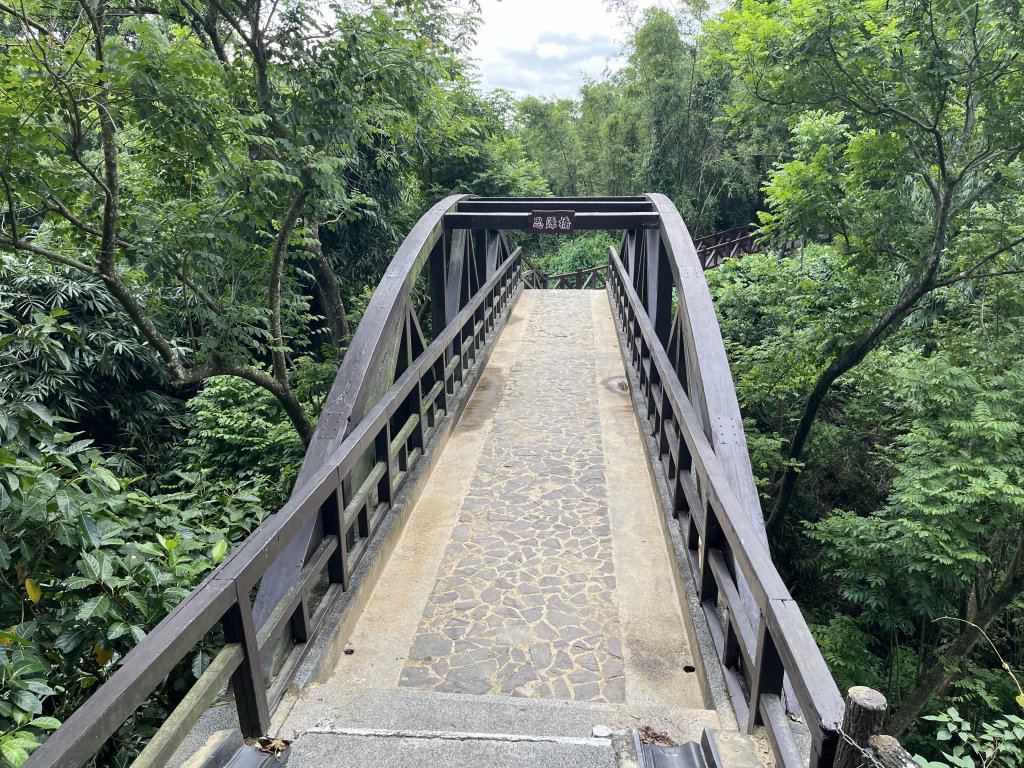 [百山百鳥尋旅-03/15] 2025_0817 虎形山公園步道_2863178