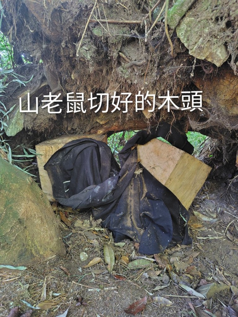 守關山南峰 守關山 守城大山封面圖