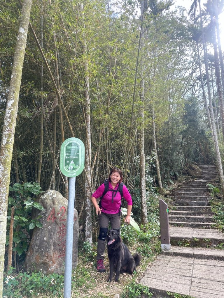 嘉雲二尖山、大尖山_2734869