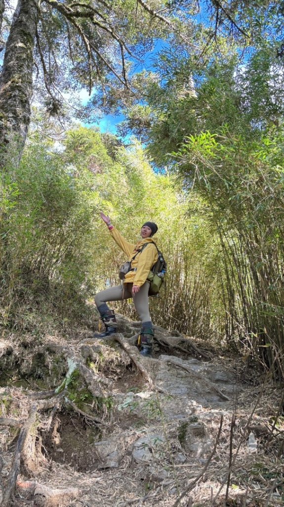 合歡群峰_2663606