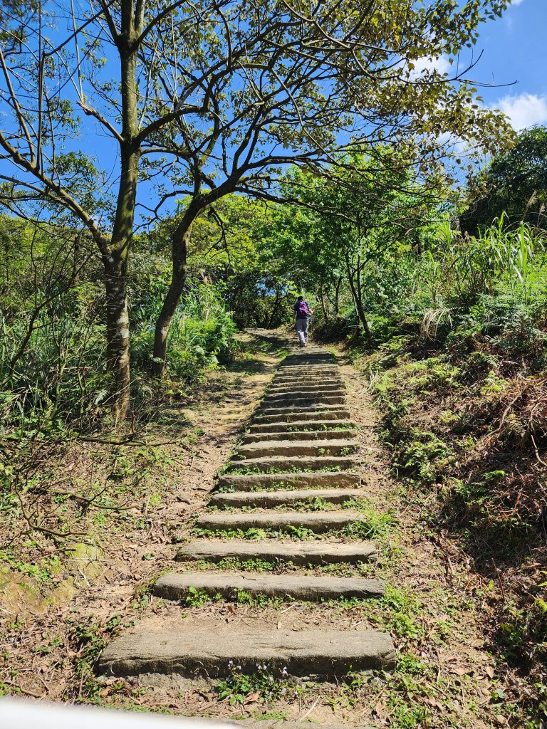 20250322-姜子寮山_2739980