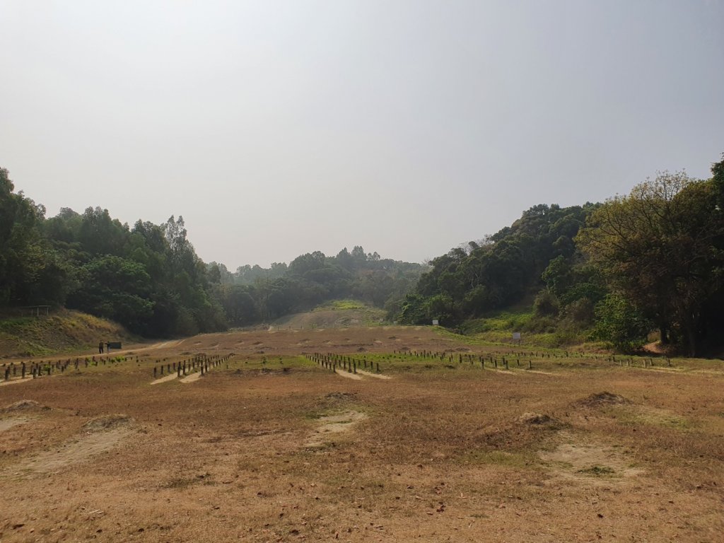 鳳凰山步道封面圖