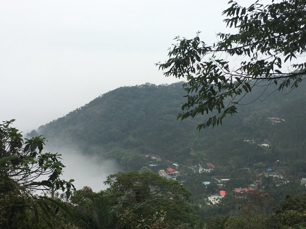 雲嘉八連峰_499940