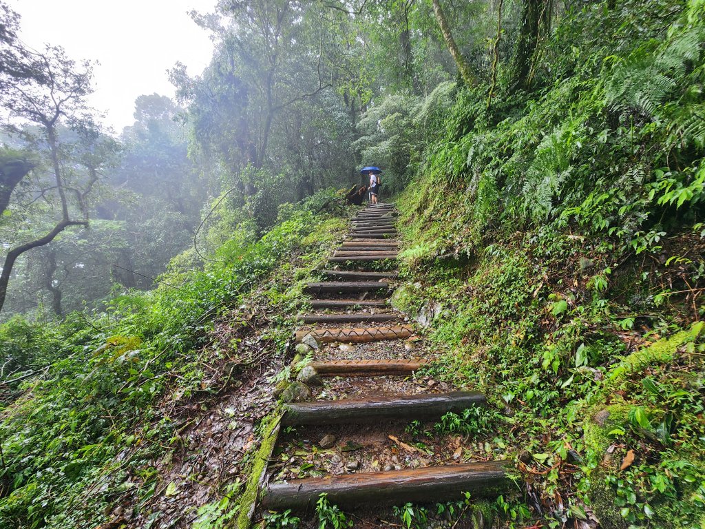 20250719頂湖上大凍山_2907135