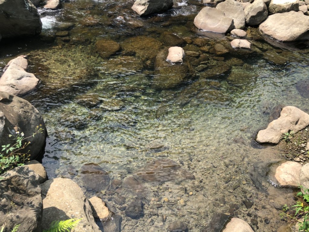 蓬萊護魚步道_1091563