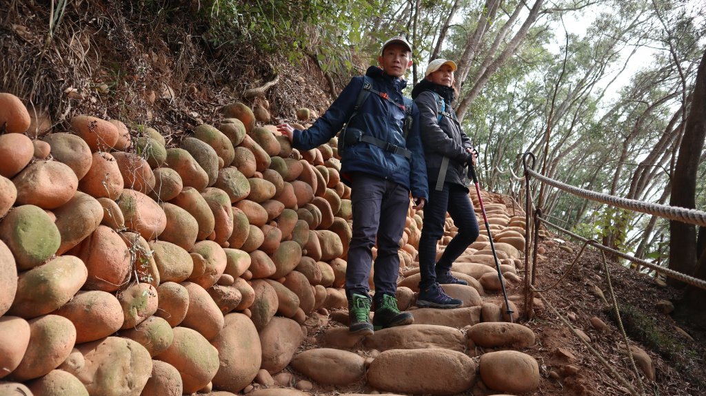 火炎山縱走慈濟茶園登山健行趣(小百岳35號)_2022841