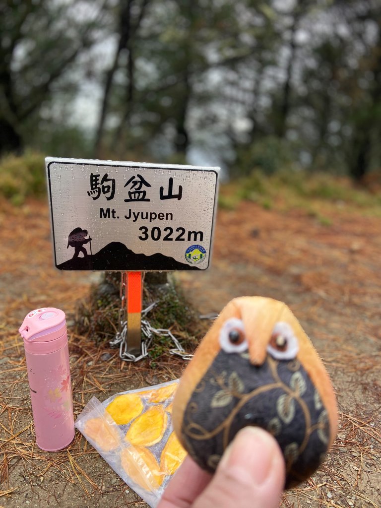 南二馬博_2860121