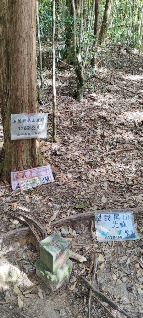 大雪山進屋我尾_2652488