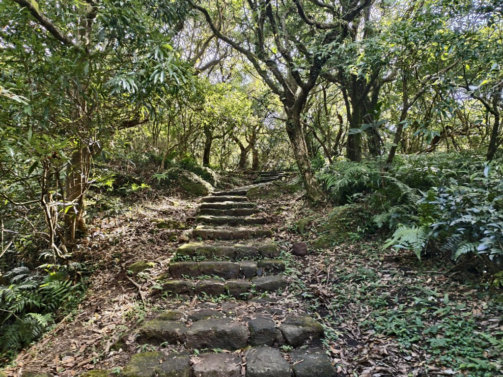 [百山百鳥尋旅-11/15] 2025_0927 大屯主峰-連峰步道_大屯山南峰_2899347